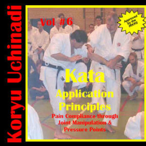 Karate kata application principles