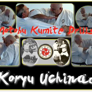 Motobu Kumite Drills