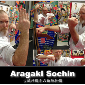 Aragaki Sochin kata instruction