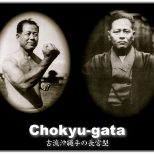 Chokyu Gata instructional download